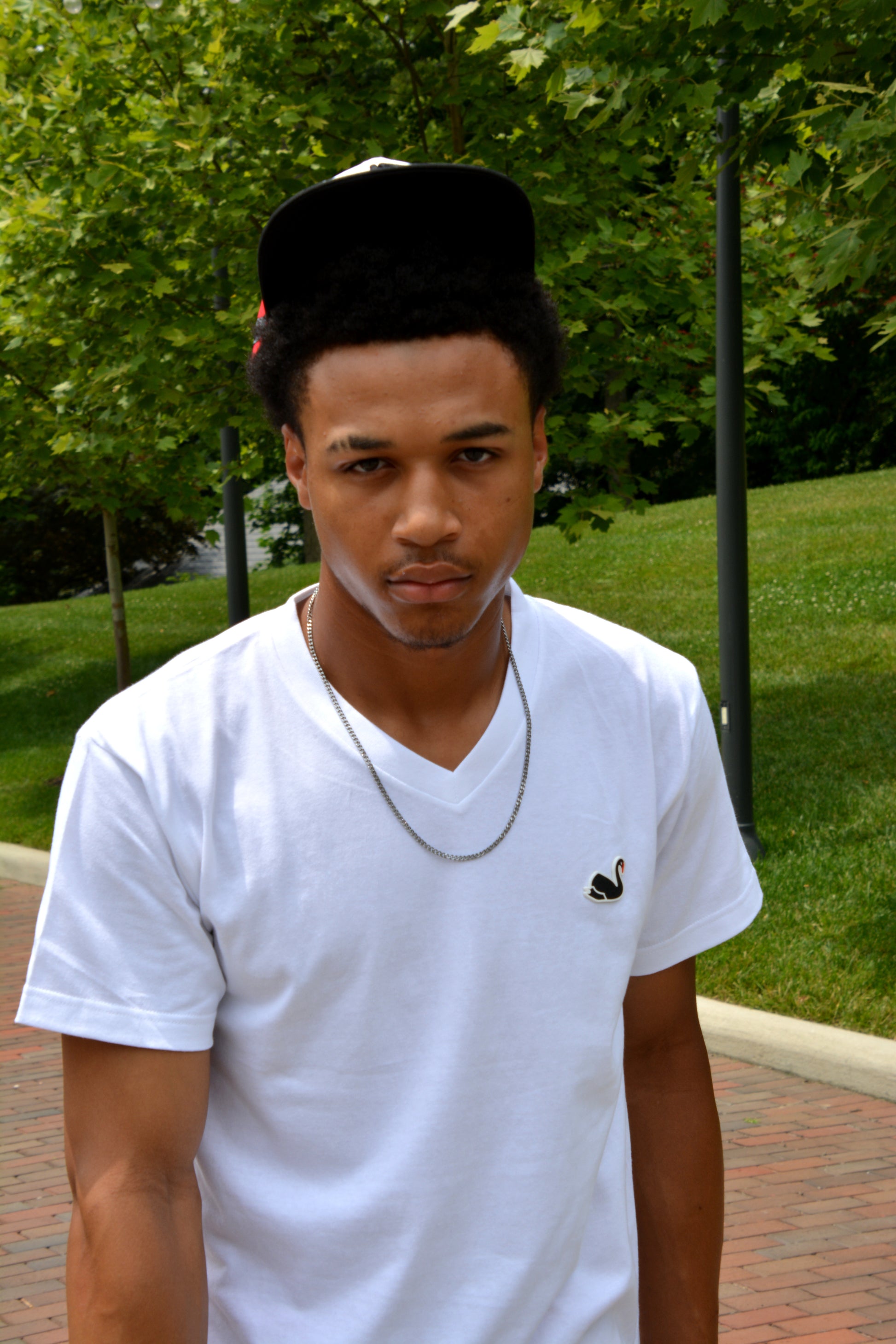 Swan Logo V-Neck T-Shirt