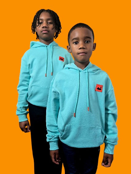 Kid's Swan Patch Hoodie ( Aqua Blue)
