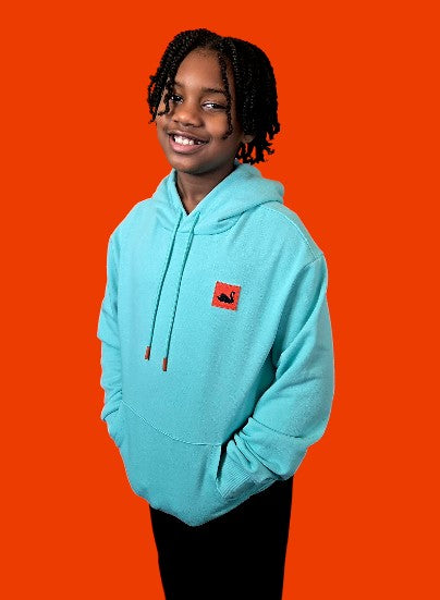 Kid's Swan Patch Hoodie ( Aqua Blue)