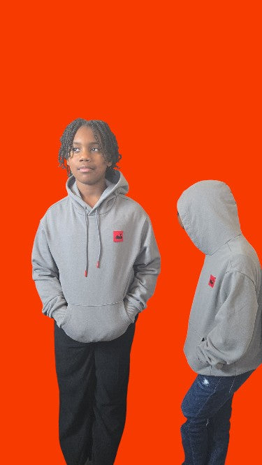 Kid's Swan Patch Hoodie (Gray)