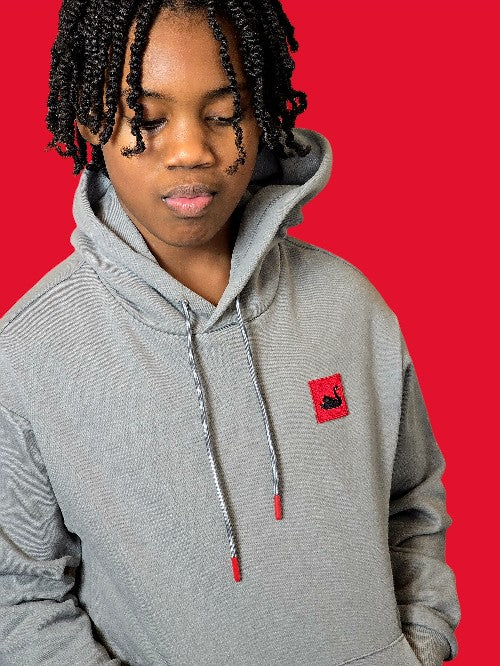 Kid's Swan Patch Hoodie (Gray)