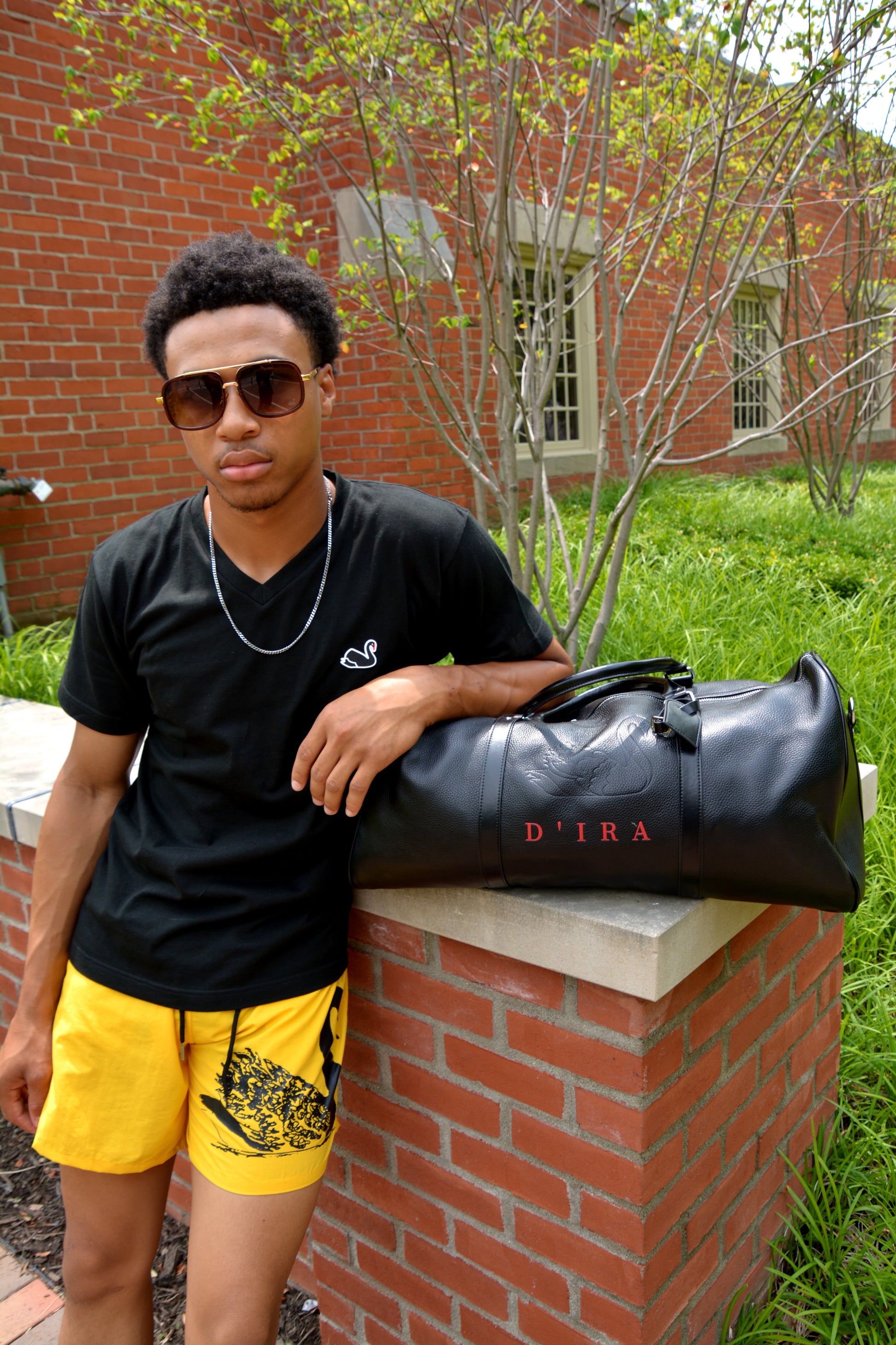 Swan Logo V-Neck T-Shirt (Black)
